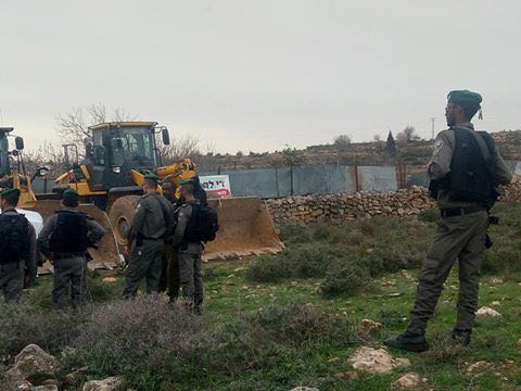 الاحتلال يجرف 15 دونما ويقتلع 60 شجرة زيتون غرب بيت لحم