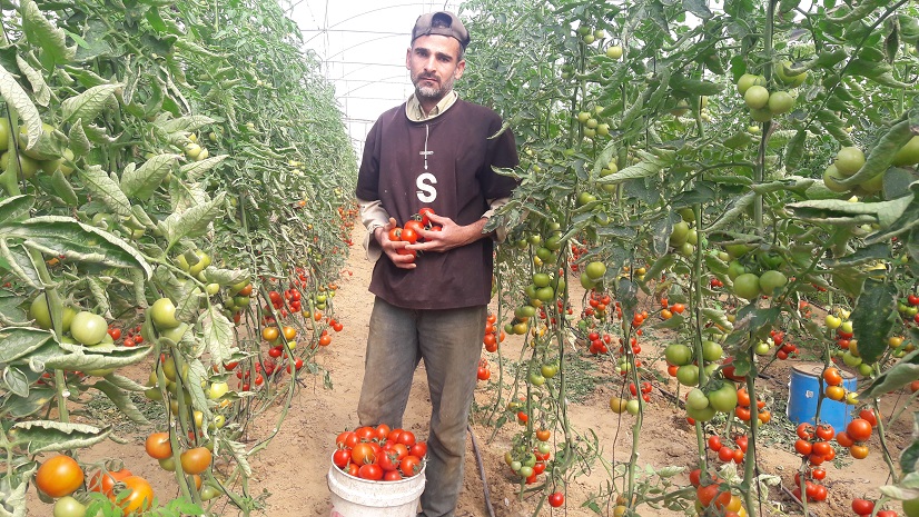 القطاع الزراعي بغزة يئن تحت وطأة الحصار