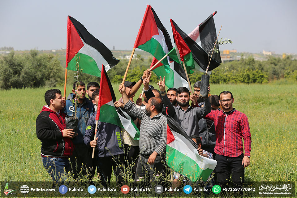 يوم تشجير الحدود الشرقية لغزة بـ 1000 شتلة ضمن فعاليات العودة