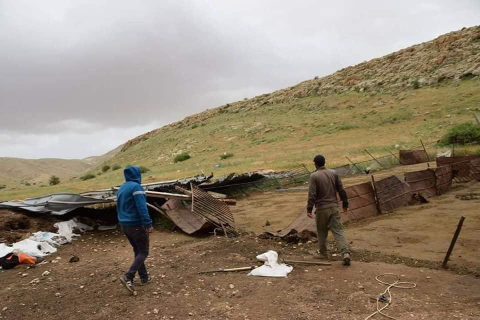مستوطنون يطاردون الرعاة في خلة حمد بالأغوار الشمالية