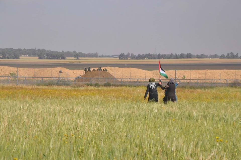 الاحتلال يرش مبيدات ضارة على الأراضي الزراعية بغزة
