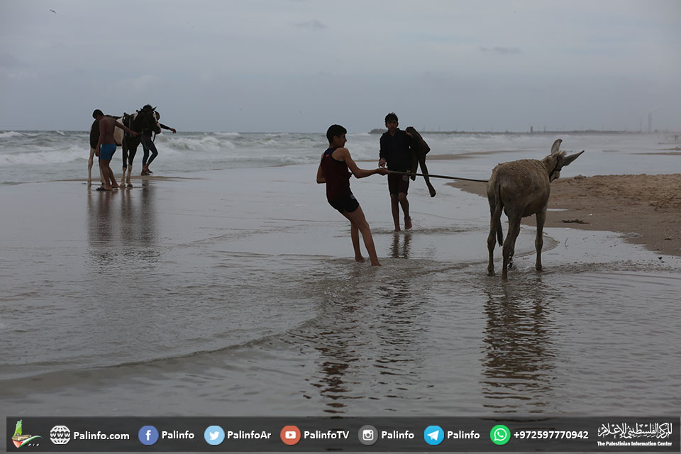 شاطئ مدينة غزة اليوم الجمعة