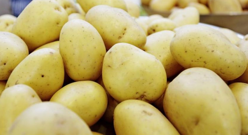  البطاطا وإنقاص الوزن.. ماذا تقول الدراسات الحديثة؟