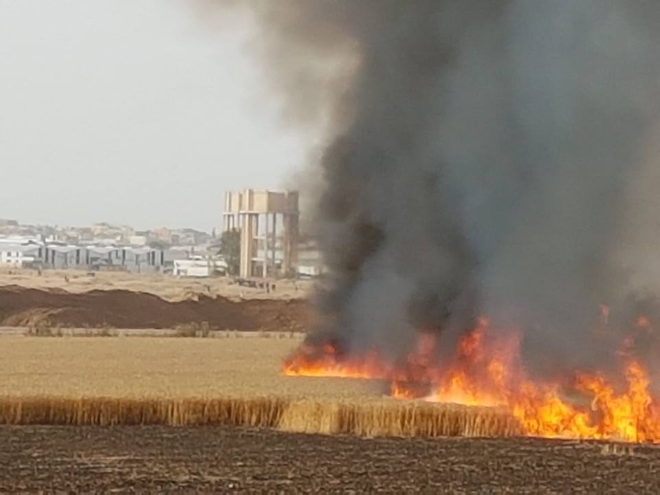 طائرة ورقية تشعل النيران في حقول الاحتلال شرق غزة