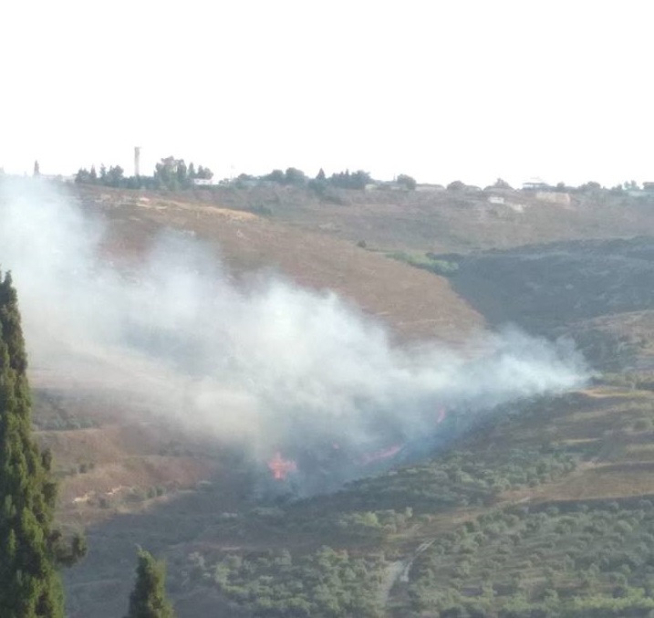 مستوطنون يضرمون النيران بحقول الزيتون في بورين