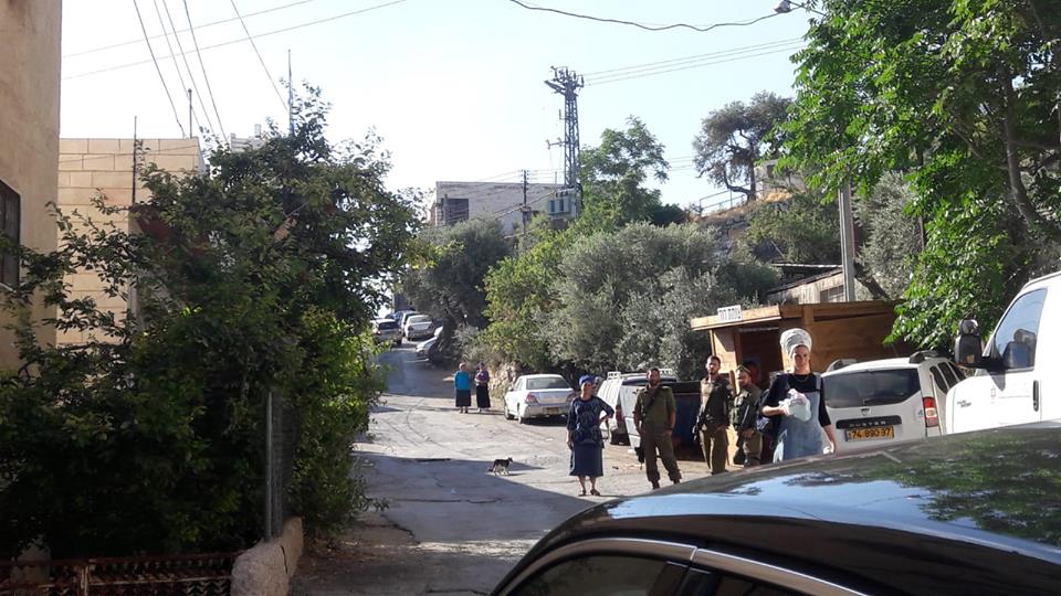 مستوطنون يعتدون على مواطنين في تل الرميدة بالخليل