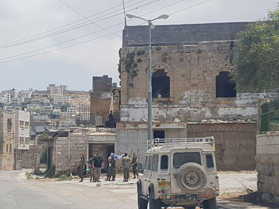 مستوطنون يهاجمون نشطاء ومنازل في تل الرميدة وسط الخليل