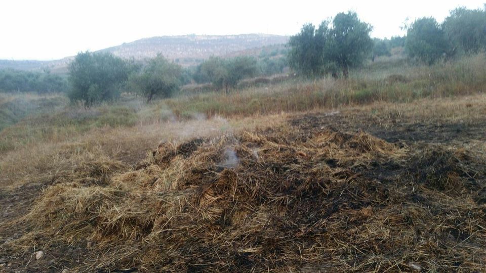 مستوطنون يضرمون النار في حقول زراعية جنوب نابلس