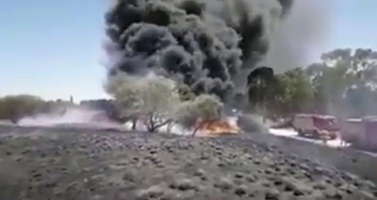بالونات العودة تشعل 8 حرائق في غلاف غزة