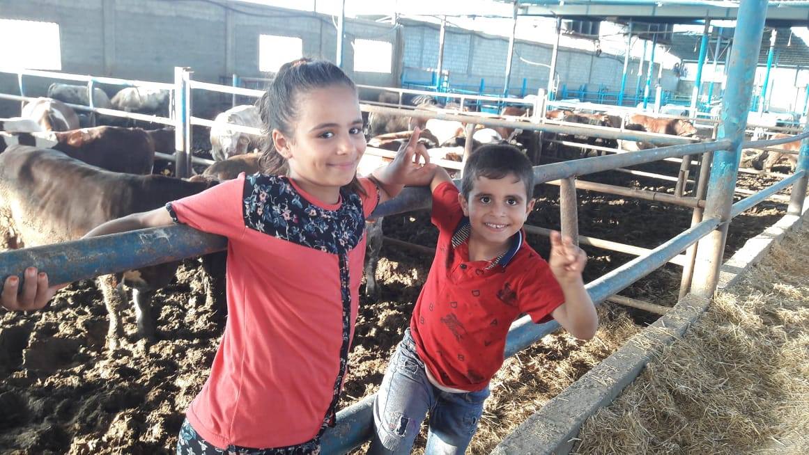 عيد الأضحى يعيد البهجة لقلوب الأطفال بغزة