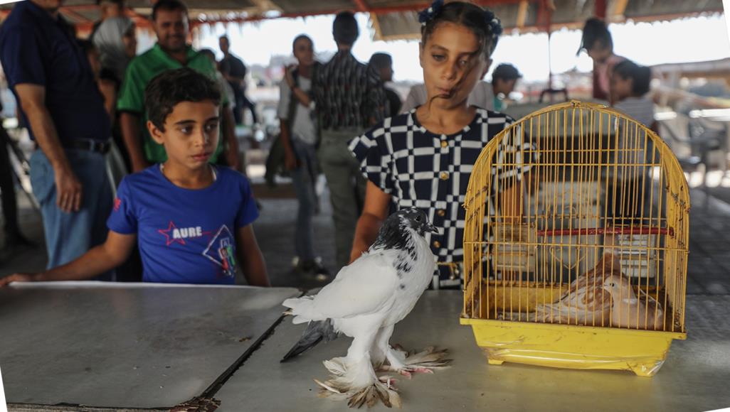 إقامة معرض صديقي الحيوان في غزة