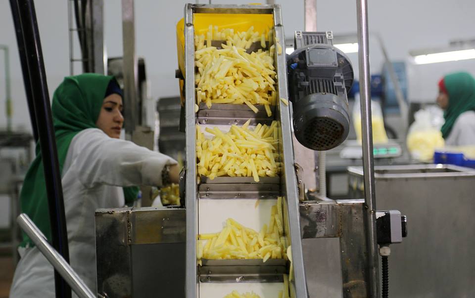 فتيات بغزة يشاركن بإنتاج البطاطس