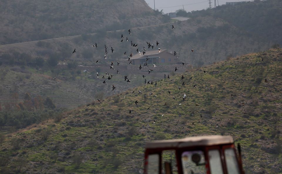 الحياة في الأغوار رغم بطش وصلف الاحتلال
