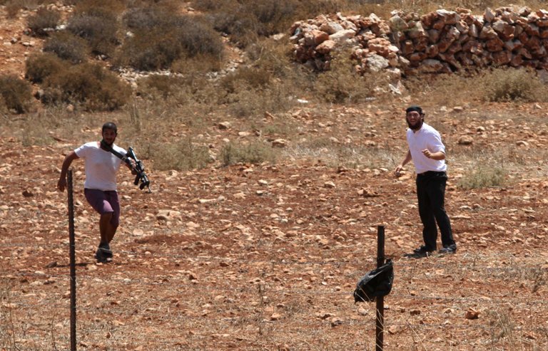 مستوطنون يحرثون أراضي المواطنين شرق بيت لحم