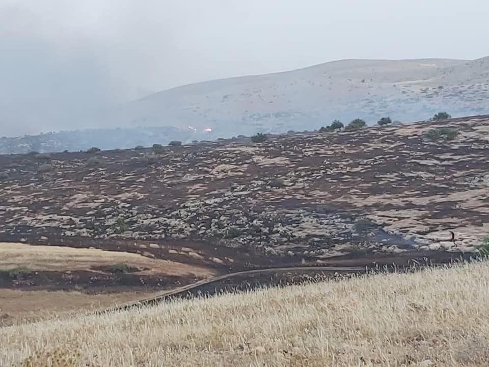 حريق يلتهم 60 ألف دونم في الأغوار الشمالية