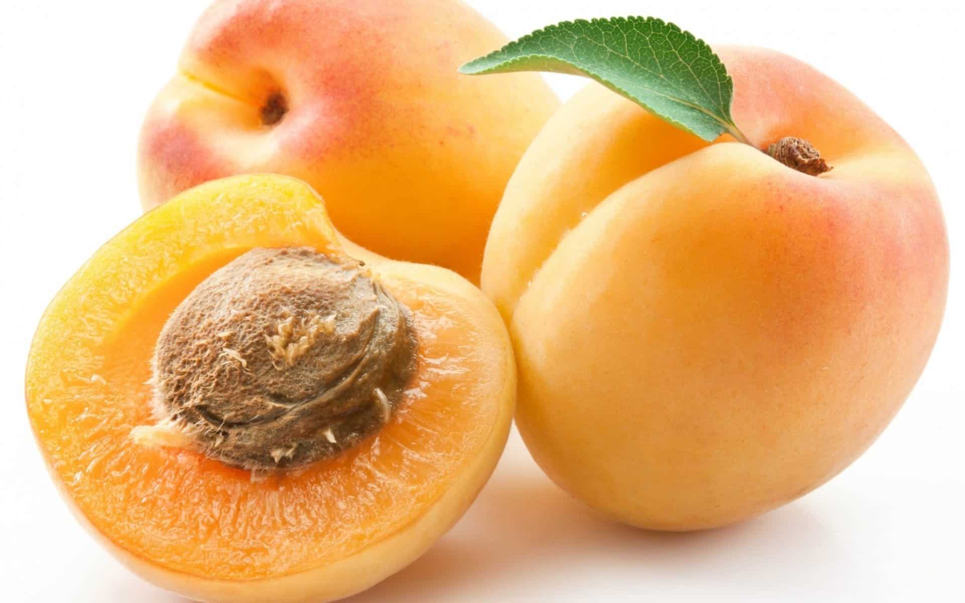 منها تسهيل حركة الأمعاء.. 6 فوائد لفاكهة المشمش