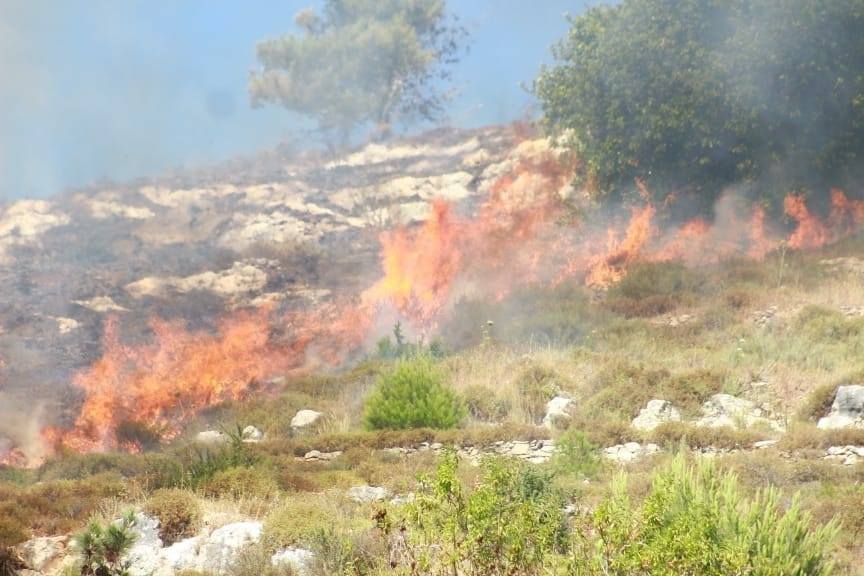 مستوطنون يحرقون مساحات واسعة من الأراضي الزراعية جنوب نابلس