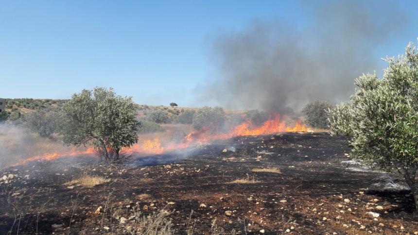 قنابل الاحتلال تحرق أراضي المواطنين جنوب قلقيلية