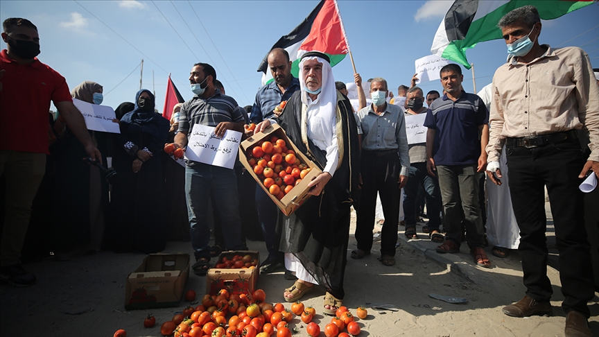 مزارعون بغزة يحتجون على شروط الاحتلال لتصدير الطماطم