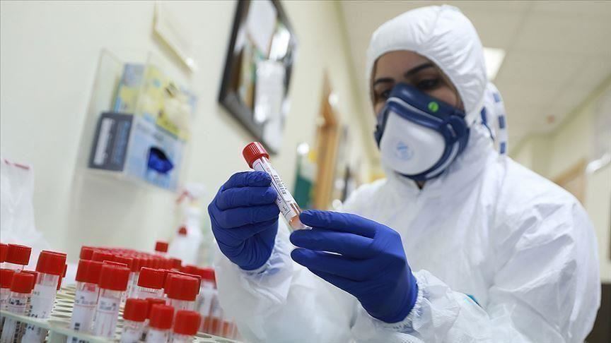 6 وفيات و431 إصابة جديدة بفيروس كورونا بالضفة وغزة