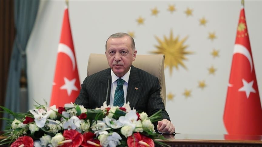 أردوغان: اتفقت مع بوتين على أن تصل الحبوب مجاناً إلى الدول المحتاجة