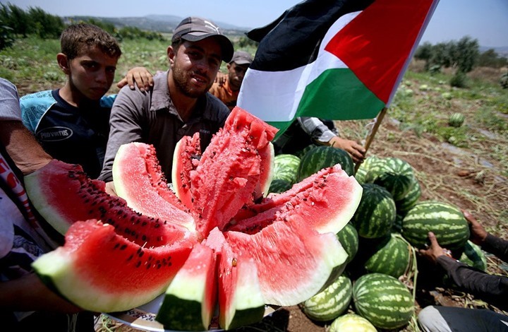 WP: الفلسطينيون تجاوزوا خوارزميات مواقع التواصل بـالبطيخ
