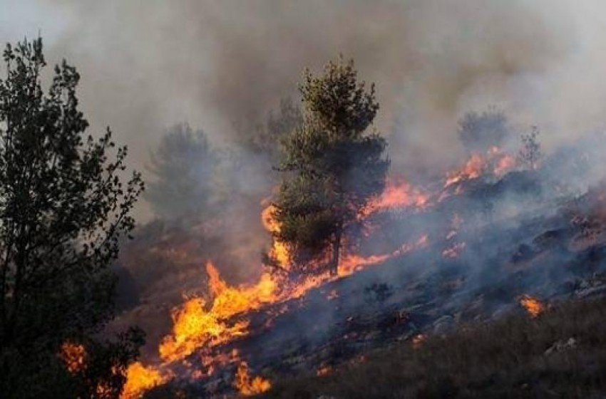 إخلاء 100 منزل جراء الحرائق المشتعلة شمالي فلسطين المحتلة
