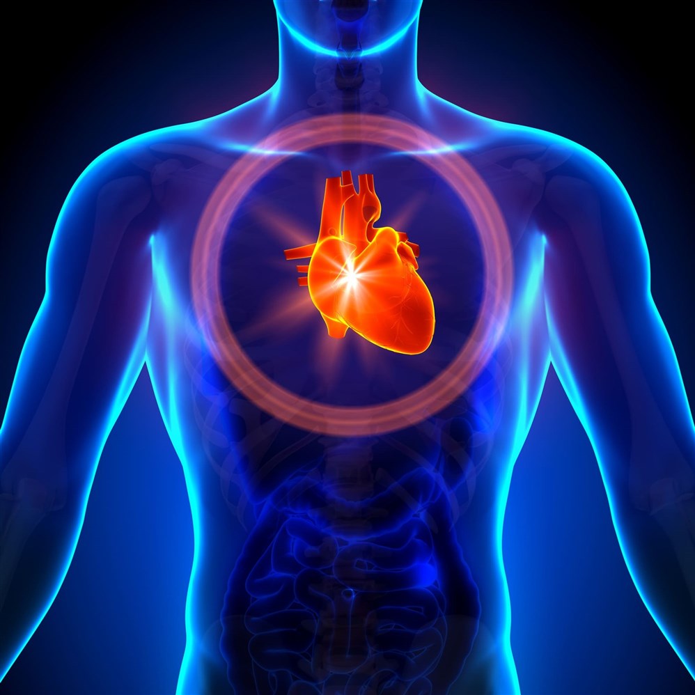 أمراض صمامات القلب… حالات صحيّة دقيقة تتطلب التدخّل الطبيّ