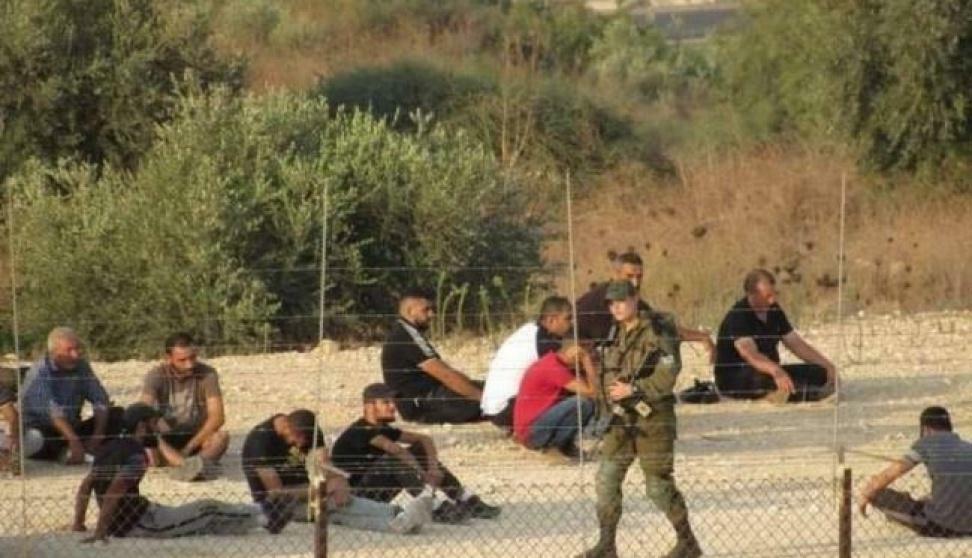 الاحتلال يعتقل أكثر من 50 عاملًا فلسطينيًّا من سلفيت