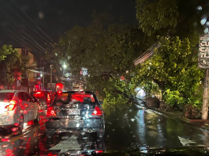 فيضانات في السلفادور تتسبب في سقوط أشجار وانقطاع الكهرباء