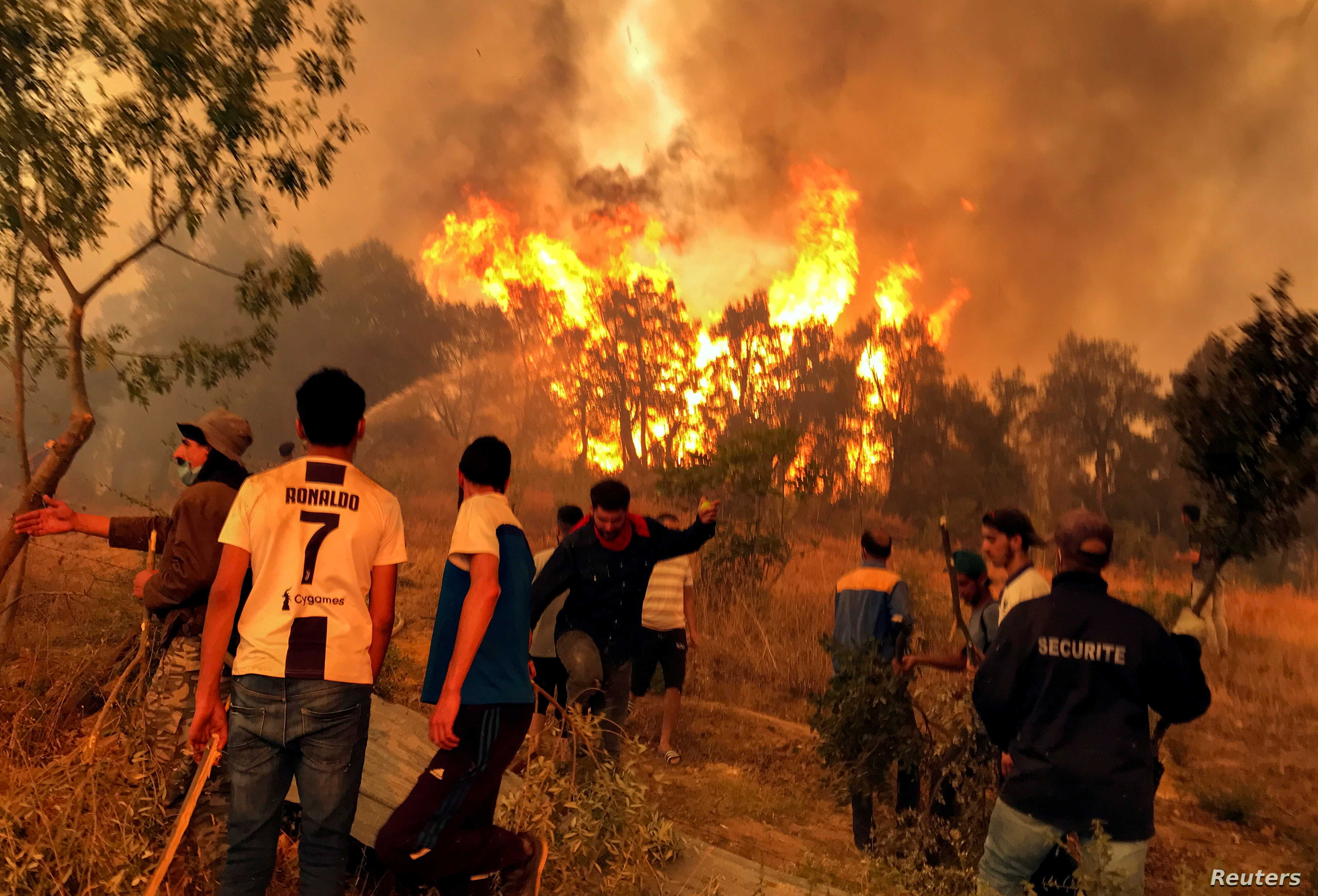 26 قتيلا في حرائق غابات بالجزائر