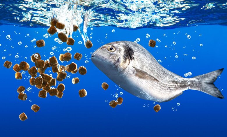 باحثون صينيون يدرسون إنتاج أعلاف الأسماك من غازات عوادم صناعية