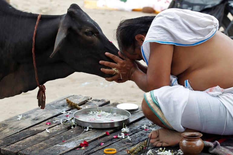 قتيلان مسلمان على يد مليشيات لحماية الأبقار في الهند