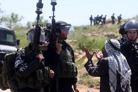 الاحتلال يعتقل مسنًا فلسطينيًا في الخليل أثناء قطفه الزيتون