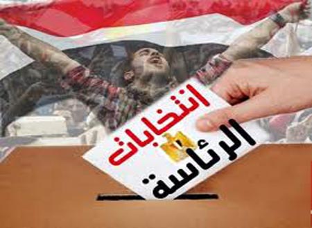 الخارجية المصرية تعلن بدء التصويت في انتخابات الرئاسة