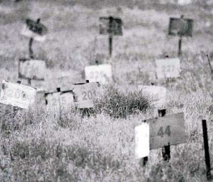 نيابة الاحتلال تقرر دفن جثماني شهيدين في مقابر الأرقام