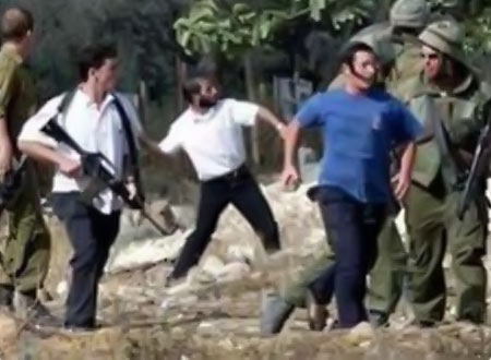 المستوطنون يعتدون على مواطنين ومزروعاتهم بالخليل