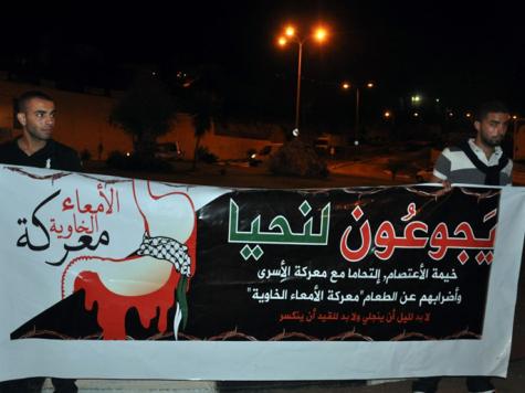 مصر: العربية لحقوق الإنسان تعلن الإضراب تضامنًا مع الأسرى