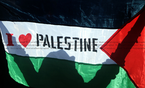 فلسطينيو هولندا يعتصمون تضامنًا مع الأسرى وإحياءً لذكرى النكبة