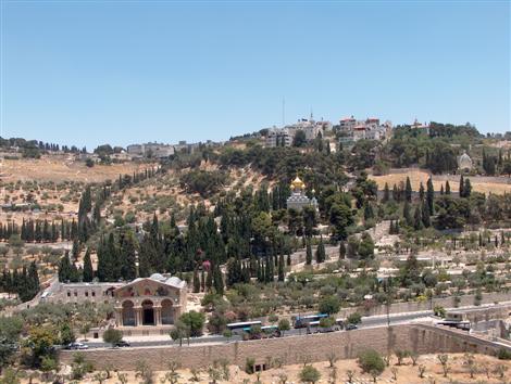 مشروع قانون صهيوني للسيطرة على جبل الزيتون بالقدس