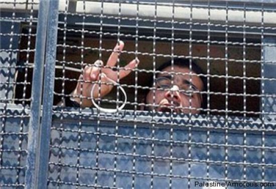 منظمات أوروبية تدعو الأمم المتحدة لإنقاذ ثلاثة أسرى مهددين بتلف خلايا الدماغ