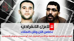 حملة تضامن إلكترونية مع أسيري العزل الانفرادي السيسي والصعيدي
