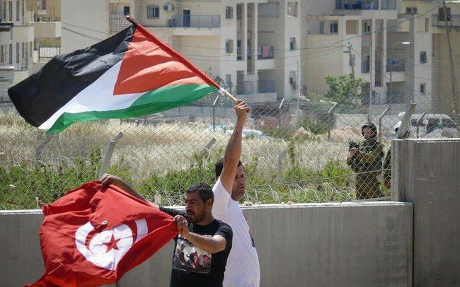 جمعية تونسية تدعو ليوم غضب نصرة لفلسطين بـ29 نوفمبر