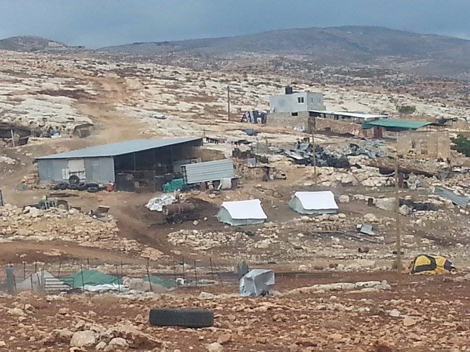 حملة بعقربا تقرر زراعة ألفي شجرة في الطويل