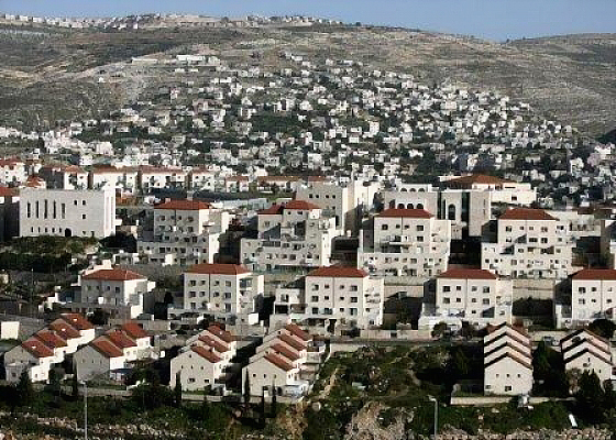 الإسلامية – المسيحية تدين استئناف النشاط الاستيطاني في القدس