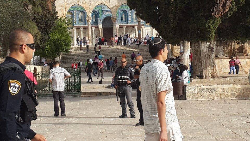 مجموعات يهودية تقتحم الأقصى بحراسات مشددة