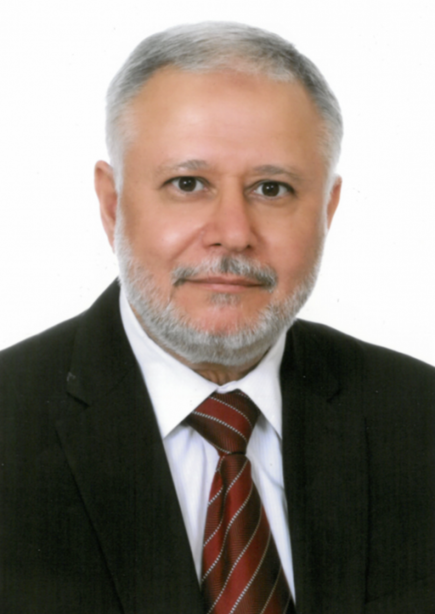نحو موجة ثورية واسعة في فلسطين