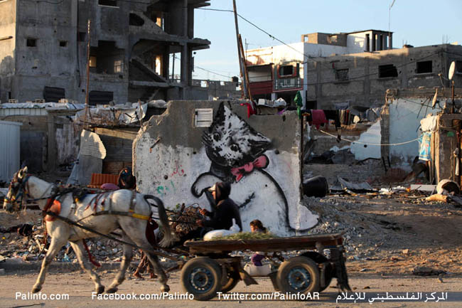 رسومات بانكسي بغزة.. رسالة فن تكشف دمار الحرب (صور وفيديو)
