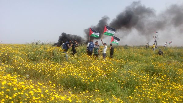 لماذا يحيي الفلسطينيون ذكرى يوم الأرض؟