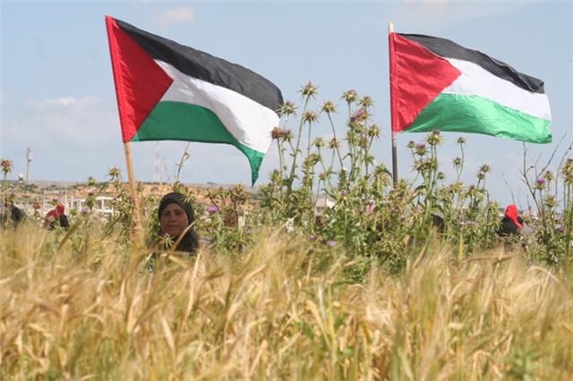 الإحصاء: إسرائيل تسيطر على 85% من مساحة فلسطين